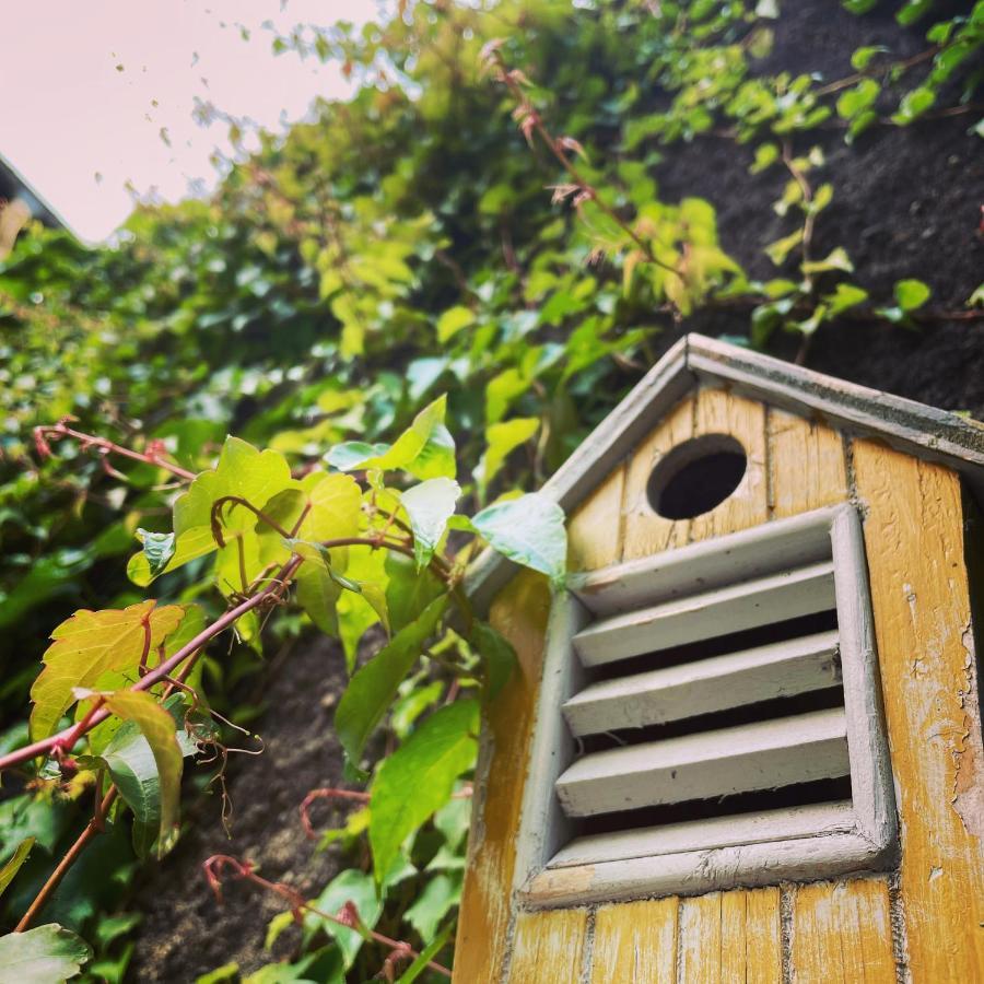 La Maison Aux Murs Anciens Et Ses Chambres Tarbes Exteriér fotografie